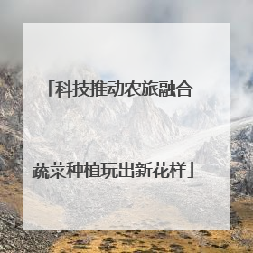 科技推动农旅融合 蔬菜种植玩出新花样