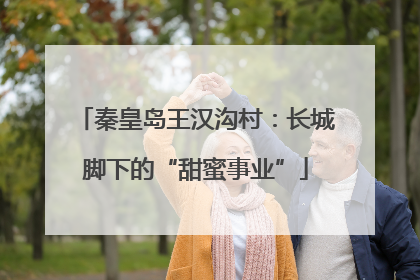 秦皇岛王汉沟村：长城脚下的“甜蜜事业”