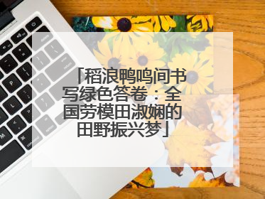 稻浪鸭鸣间书写绿色答卷：全国劳模田淑娴的田野振兴梦