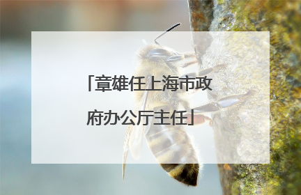 章雄任上海市政府办公厅主任