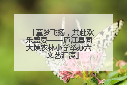 童梦飞扬，共赴欢乐盛宴——庐江县同大镇农林小学举办六一文艺汇演