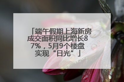 端午假期上海新房成交面积同比增长87%，5月9个楼盘实现“日光”