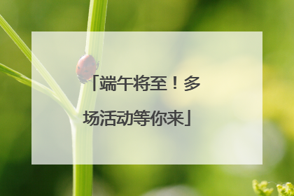 端午将至！多场活动等你来