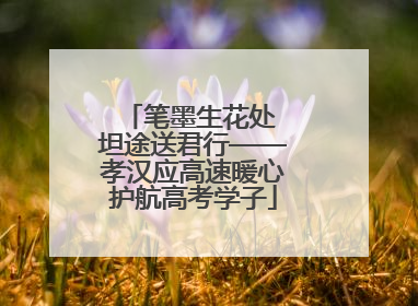 笔墨生花处 坦途送君行——孝汉应高速暖心护航高考学子