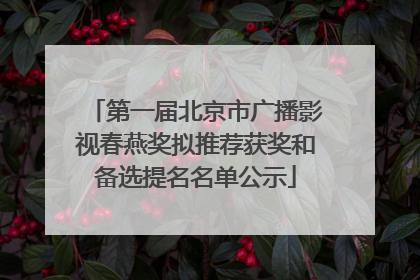 第一届北京市广播影视春燕奖拟推荐获奖和备选提名名单公示