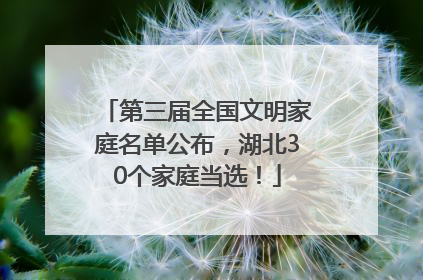 第三届全国文明家庭名单公布，湖北30个家庭当选！