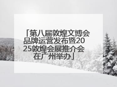 第八届敦煌文博会品牌运营发布暨2025敦煌会展推介会在广州举办