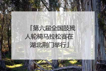 第六届全国肢残人轮椅马拉松赛在湖北荆门举行