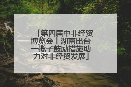 第四届中非经贸博览会丨湖南出台一揽子鼓励措施助力对非经贸发展