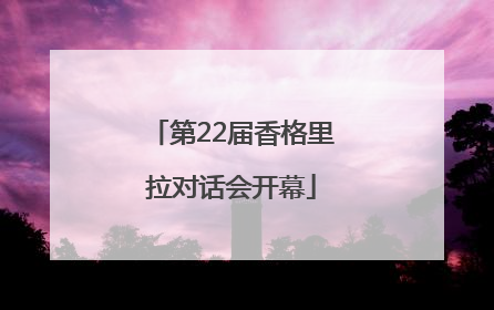 第22届香格里拉对话会开幕