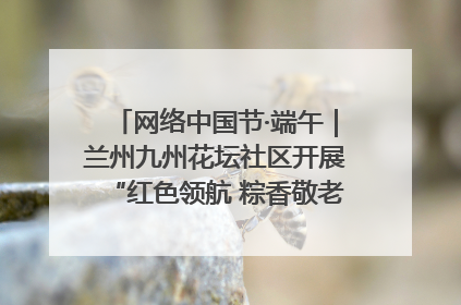 网络中国节·端午｜兰州九州花坛社区开展“红色领航 粽香敬老”端午主题活动
