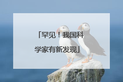 罕见！我国科学家有新发现