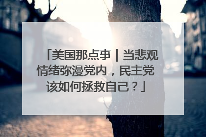 美国那点事｜当悲观情绪弥漫党内，民主党该如何拯救自己？