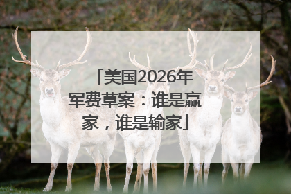 美国2026年军费草案：谁是赢家，谁是输家
