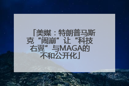 美媒：特朗普马斯克“闹崩”让“科技右翼”与MAGA的不和公开化
