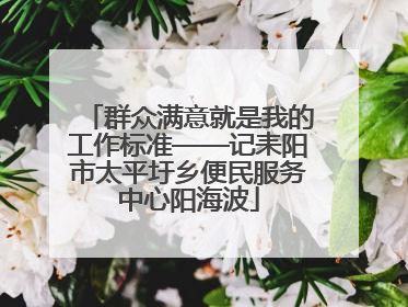 群众满意就是我的工作标准——记耒阳市太平圩乡便民服务中心阳海波
