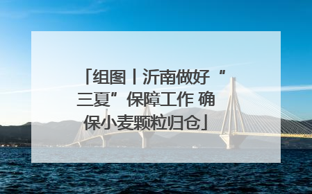组图丨沂南做好“三夏”保障工作 确保小麦颗粒归仓