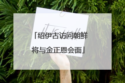绍伊古访问朝鲜 将与金正恩会面