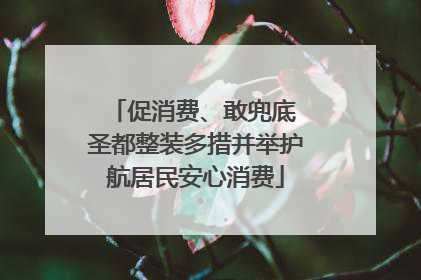 促消费、敢兜底 圣都整装多措并举护航居民安心消费