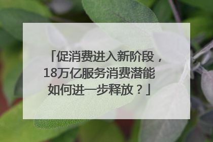 促消费进入新阶段，18万亿服务消费潜能如何进一步释放？