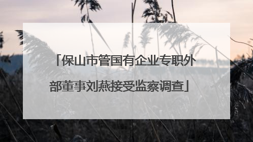 保山市管国有企业专职外部董事刘燕接受监察调查