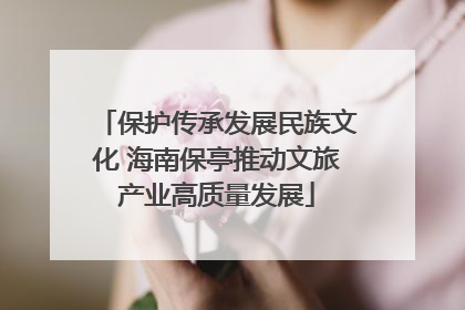 保护传承发展民族文化 海南保亭推动文旅产业高质量发展