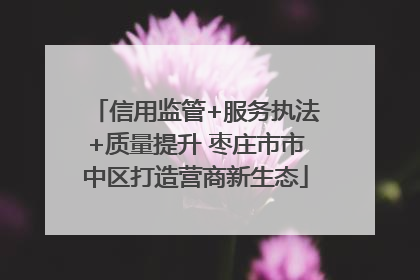 信用监管+服务执法+质量提升 枣庄市市中区打造营商新生态