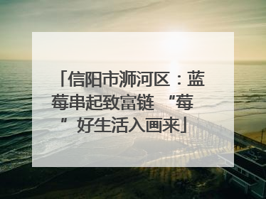信阳市浉河区：蓝莓串起致富链 “莓”好生活入画来
