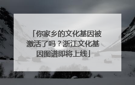 你家乡的文化基因被激活了吗？浙江文化基因图谱即将上线