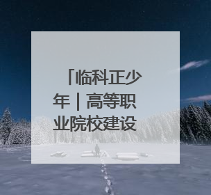 临科正少年｜高等职业院校建设的“临科速度”