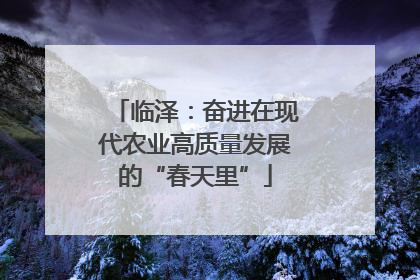 临泽：奋进在现代农业高质量发展的“春天里”