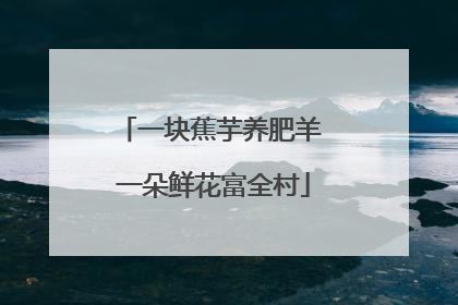 一块蕉芋养肥羊 一朵鲜花富全村