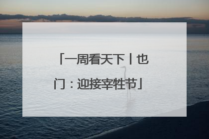 一周看天下丨也门：迎接宰牲节