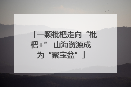 一颗枇杷走向“枇杷+” 山海资源成为“聚宝盆”