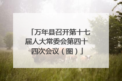 万年县召开第十七届人大常委会第四十四次会议（图）