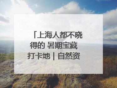 上海人都不晓得的 暑期宝藏打卡地｜自然资源探馆系列②
