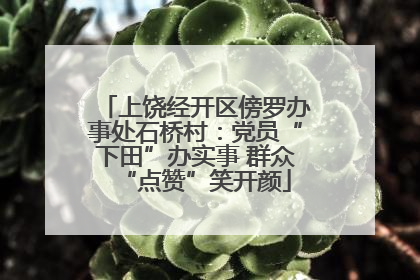 上饶经开区傍罗办事处石桥村：党员“下田”办实事 群众“点赞”笑开颜