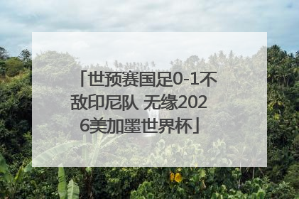 世预赛国足0-1不敌印尼队 无缘2026美加墨世界杯