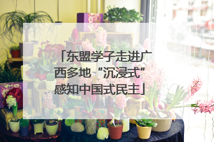 东盟学子走进广西多地“沉浸式”感知中国式民主