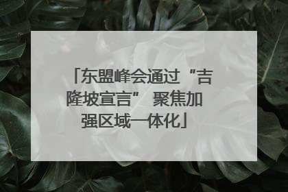 东盟峰会通过“吉隆坡宣言” 聚焦加强区域一体化