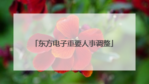 东方电子重要人事调整