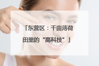 东营区：千亩薄荷田里的“高科技”