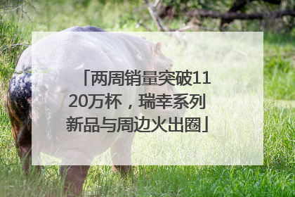 两周销量突破1120万杯，瑞幸系列新品与周边火出圈