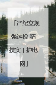 严纪立规强运检 精技实干护电网