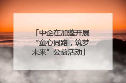 中企在加蓬开展“童心同路，筑梦未来”公益活动