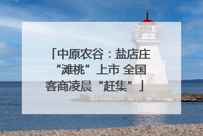 中原农谷：盐店庄“滩桃”上市 全国客商凌晨“赶集”