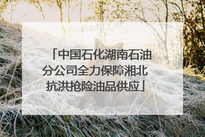 中国石化湖南石油分公司全力保障湘北抗洪抢险油品供应