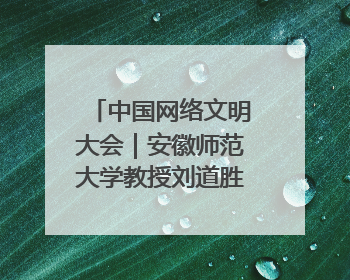 中国网络文明大会｜安徽师范大学教授刘道胜：“E”览徽风，构筑中华民族共有精神家园