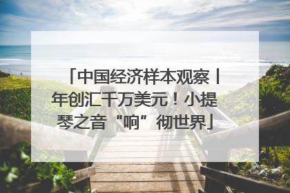 中国经济样本观察丨年创汇千万美元！小提琴之音“响”彻世界