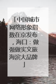 中国城市网络形象指数在京发布，海口：做强做实文旅海滨大品牌